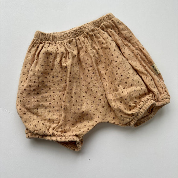 Poudre Bloomers 6M