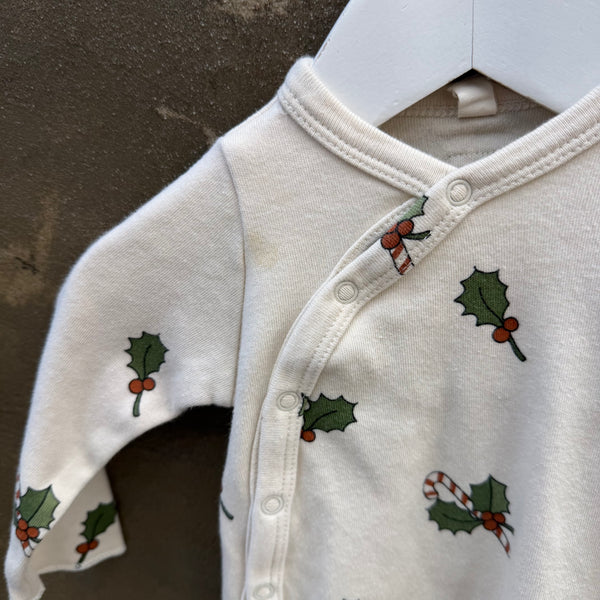 Organic Zoo Sleepsuit 0-3M