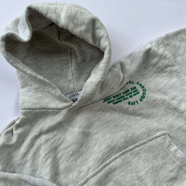 Zara Hoodie 12-18M