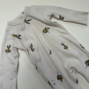 Organic Zoo Sleepsuit 3-6M