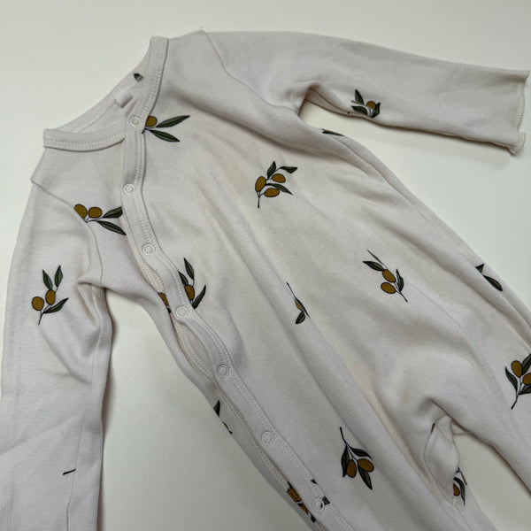 Organic Zoo Sleepsuit 3-6M