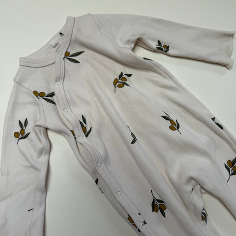 Organic Zoo Sleepsuit 3-6M