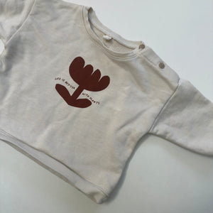 Organic Zoo Jumper 3-6M