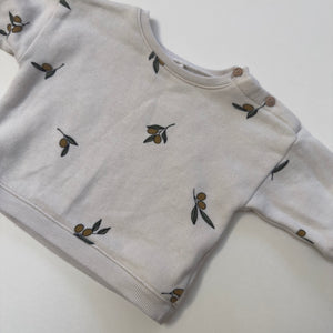 Organic Zoo Jumper 3-6M