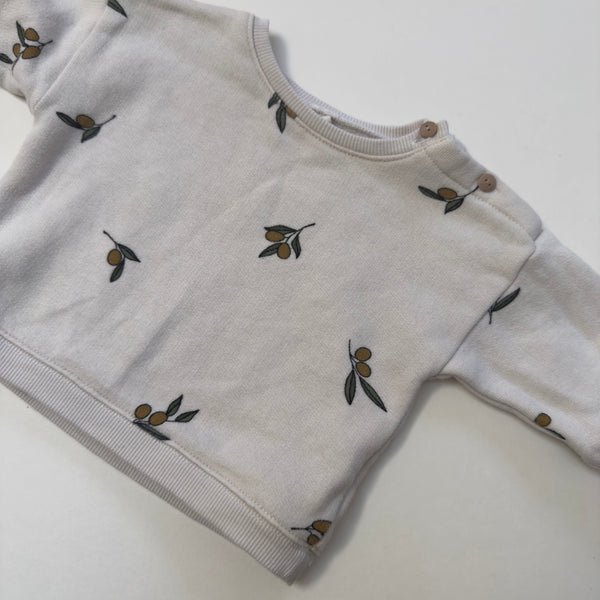 Organic Zoo Jumper 3-6M
