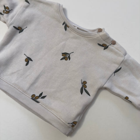 Organic Zoo Jumper 3-6M