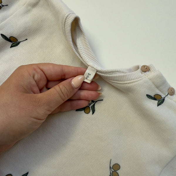 Organic Zoo Jumper 3-6M