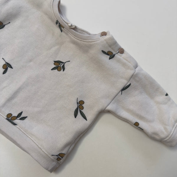 Organic Zoo Jumper 3-6M